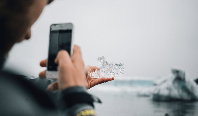Fish Monitoring and Computer Vision: MIT’s Surprising Leap into Citizen Science